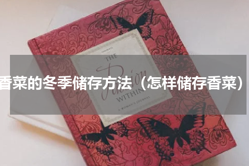 香菜的冬季储存方法（怎样储存香菜）