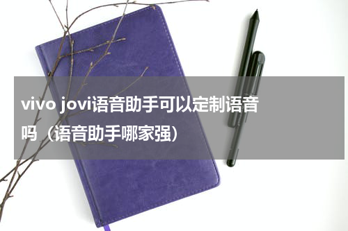 vivo jovi语音助手可以定制语音吗（语音助手哪家强）