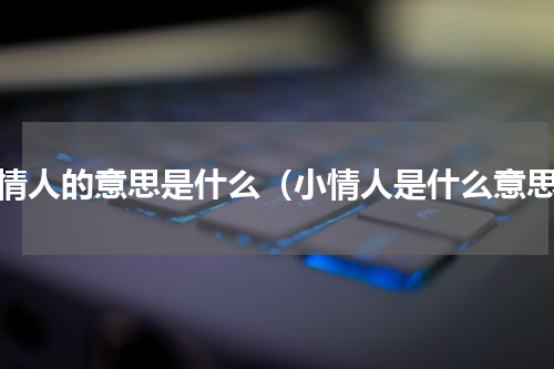 小情人的意思是什么（小情人是什么意思）