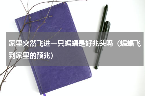 家里突然飞进一只蝙蝠是好兆头吗（蝙蝠飞到家里的预兆）