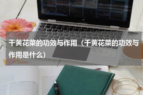 干黄花菜的功效与作用（干黄花菜的功效与作用是什么）