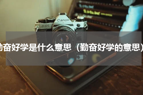 勤奋好学是什么意思（勤奋好学的意思）