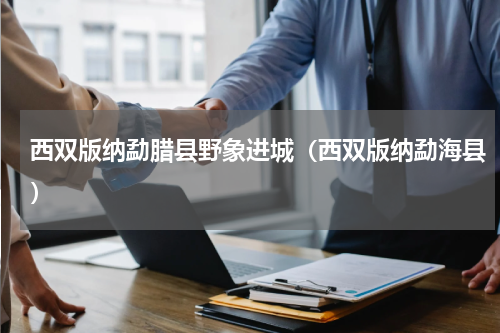 西双版纳勐腊县野象进城（西双版纳勐海县）