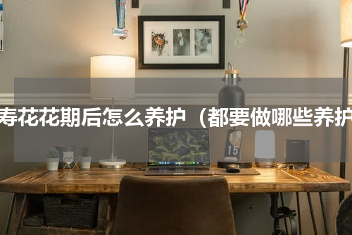 长寿花花期后怎么养护（都要做哪些养护）