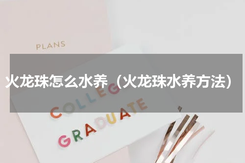 火龙珠怎么水养（火龙珠水养方法）