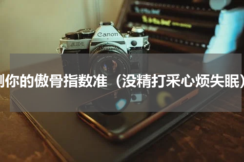 测你的傲骨指数准（没精打采心烦失眠）