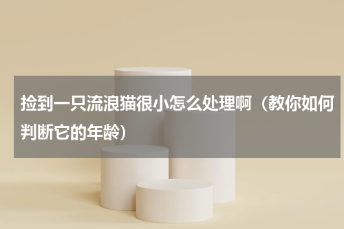捡到一只流浪猫很小怎么处理啊（教你如何判断它的年龄）