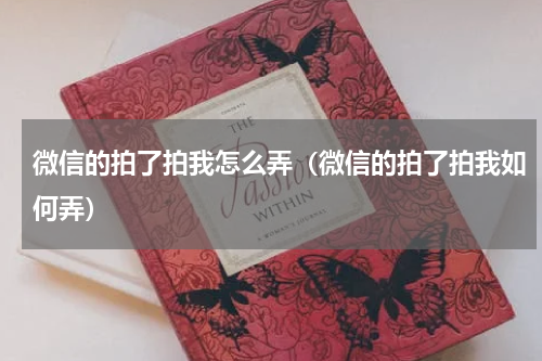 微信的拍了拍我怎么弄（微信的拍了拍我如何弄）