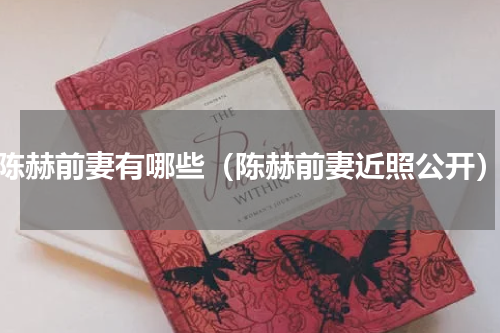陈赫前妻有哪些（陈赫前妻近照公开）