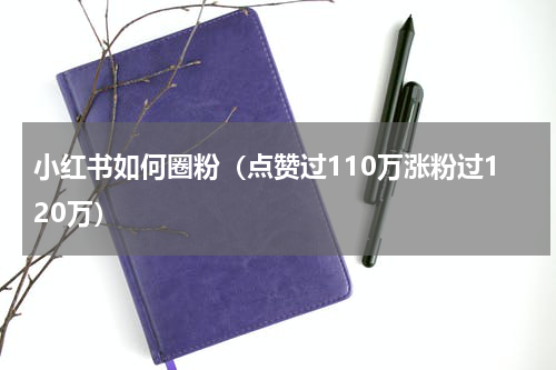 小红书如何圈粉（点赞过110万涨粉过120万）