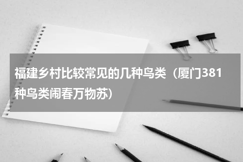 福建乡村比较常见的几种鸟类（厦门381种鸟类闹春万物苏）