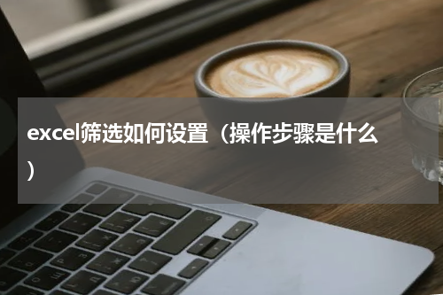 excel筛选如何设置（操作步骤是什么）