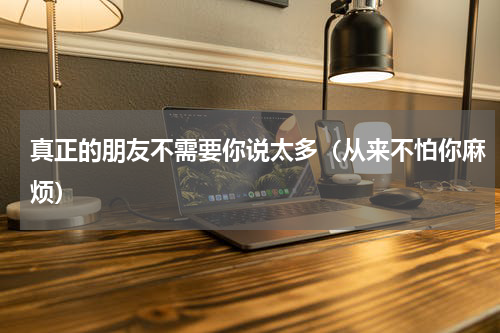 真正的朋友不需要你说太多（从来不怕你麻烦）