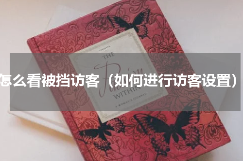 怎么看被挡访客（如何进行访客设置）