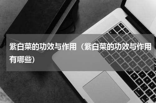 紫白菜的功效与作用（紫白菜的功效与作用有哪些）