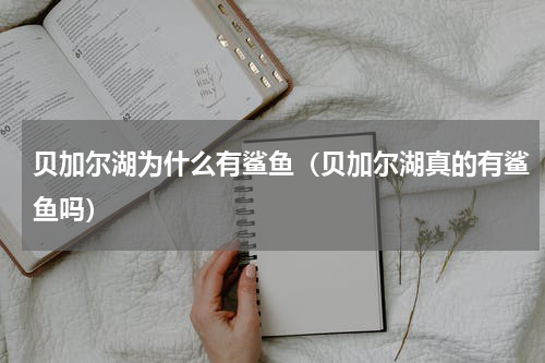 贝加尔湖为什么有鲨鱼（贝加尔湖真的有鲨鱼吗）