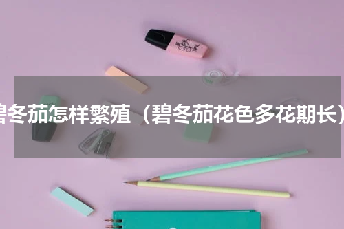 碧冬茄怎样繁殖（碧冬茄花色多花期长）