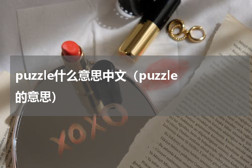 puzzle什么意思中文（puzzle的意思）