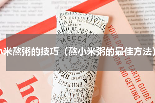 小米熬粥的技巧（熬小米粥的最佳方法）