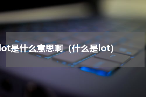 lot是什么意思啊（什么是lot）