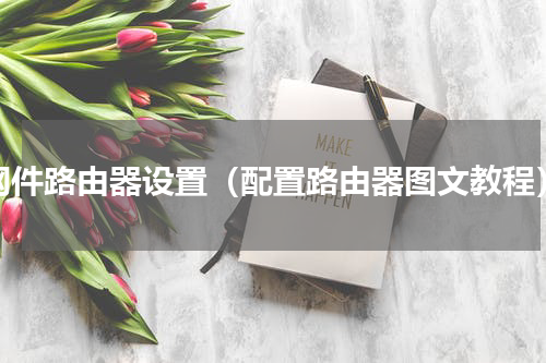 网件路由器设置（配置路由器图文教程）