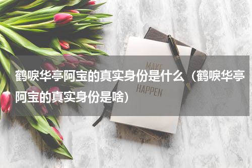 鹤唳华亭阿宝的真实身份是什么（鹤唳华亭阿宝的真实身份是啥）