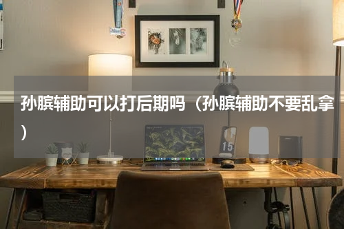 孙膑辅助可以打后期吗（孙膑辅助不要乱拿）