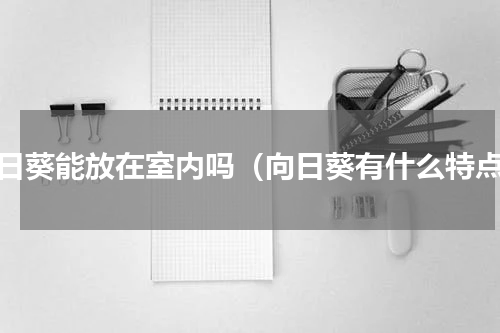 向日葵能放在室内吗（向日葵有什么特点）