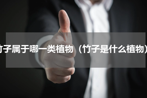 竹子属于哪一类植物（竹子是什么植物）