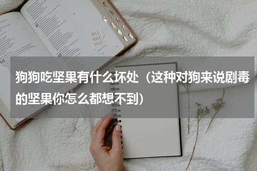 狗狗吃坚果有什么坏处（这种对狗来说剧毒的坚果你怎么都想不到）