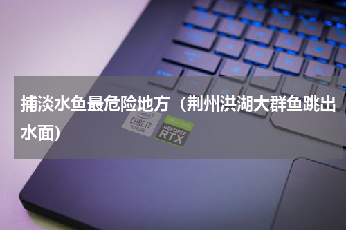 捕淡水鱼最危险地方（荆州洪湖大群鱼跳出水面）