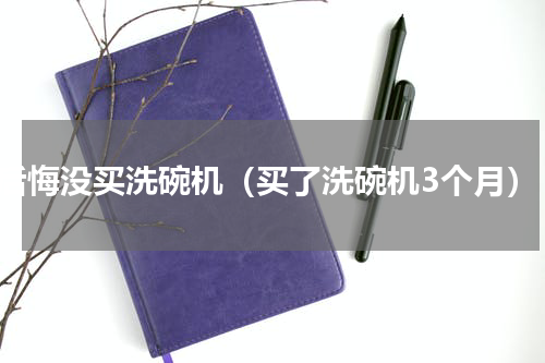 后悔没买洗碗机（买了洗碗机3个月）