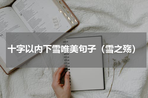十字以内下雪唯美句子（雪之殇）