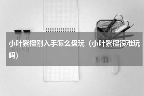 小叶紫檀刚入手怎么盘玩（小叶紫檀很难玩吗）