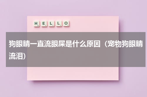 狗眼睛一直流眼屎是什么原因（宠物狗眼睛流泪）