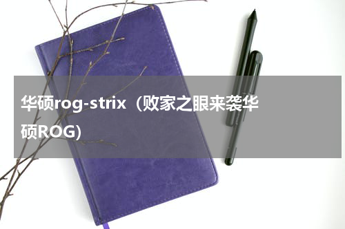 华硕rog-strix（败家之眼来袭华硕ROG）