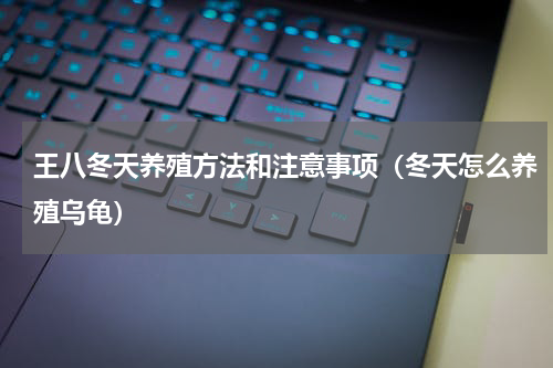 王八冬天养殖方法和注意事项（冬天怎么养殖乌龟）