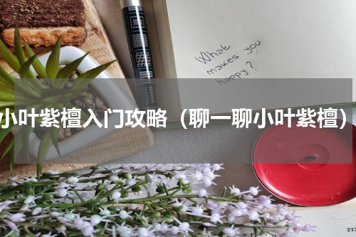 小叶紫檀入门攻略（聊一聊小叶紫檀）
