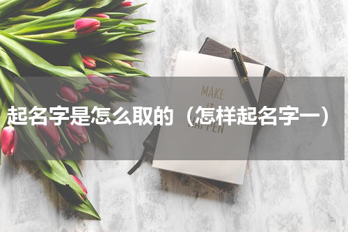 起名字是怎么取的（怎样起名字一）