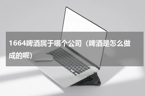 1664啤酒属于哪个公司（啤酒是怎么做成的呢）