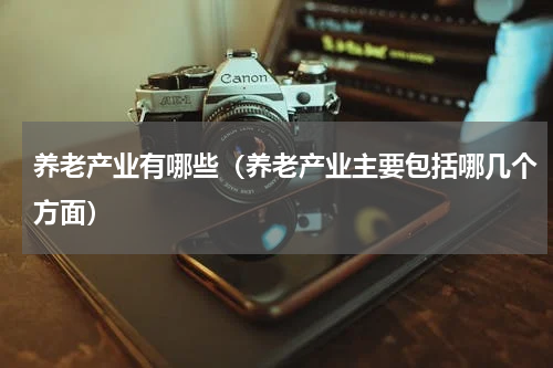 养老产业有哪些（养老产业主要包括哪几个方面）