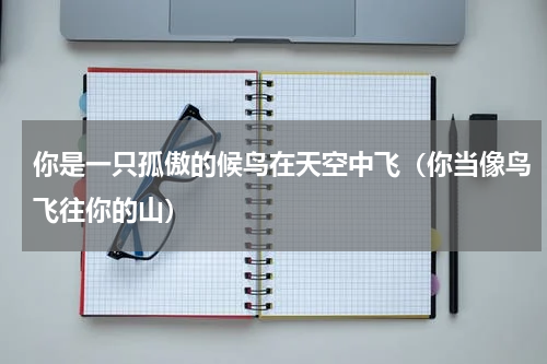 你是一只孤傲的候鸟在天空中飞（你当像鸟飞往你的山）