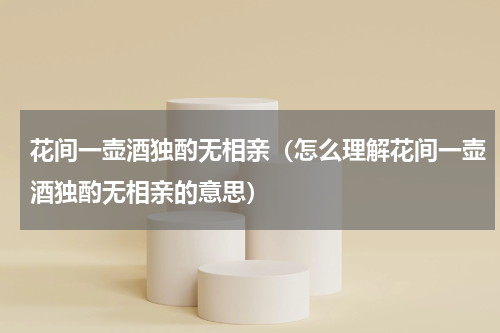 花间一壶酒独酌无相亲（怎么理解花间一壶酒独酌无相亲的意思）