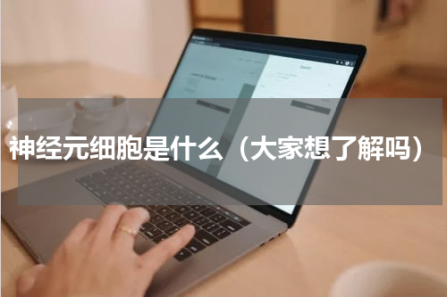 神经元细胞是什么（大家想了解吗）