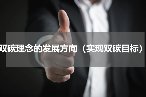 双碳理念的发展方向（实现双碳目标）
