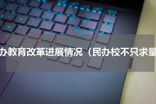 民办教育改革进展情况（民办校不只求量）