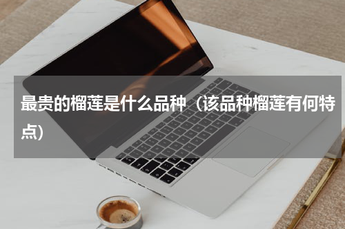 最贵的榴莲是什么品种（该品种榴莲有何特点）
