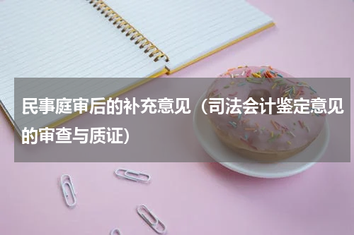 民事庭审后的补充意见（司法会计鉴定意见的审查与质证）