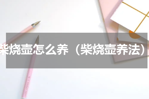 柴烧壶怎么养（柴烧壶养法）
