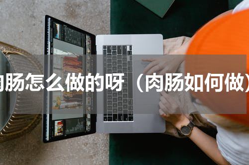 肉肠怎么做的呀（肉肠如何做）